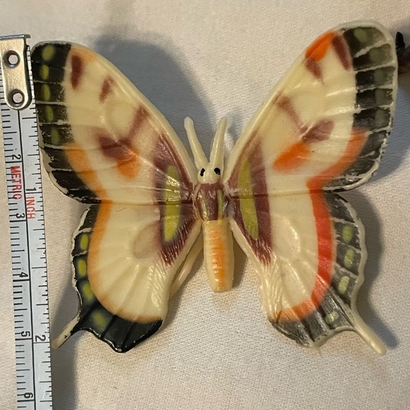 Colorful Insect and Butterfly Collection Box - Picture 5 of 10